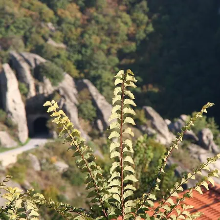 Bed and Breakfast Monserrat 3*