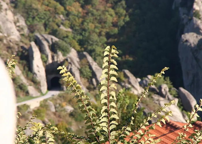 Bed & Breakfast Monserrat 3*